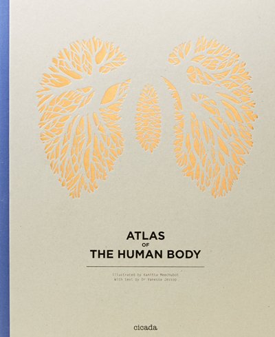 ATLAS OF THE HUMAN BODY