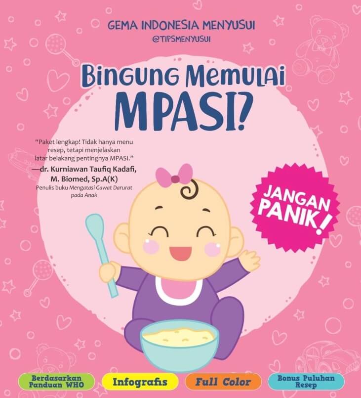 Buku BINGUNG MEMULAI MPASI? - Gema Indonesia… | Mizanstore