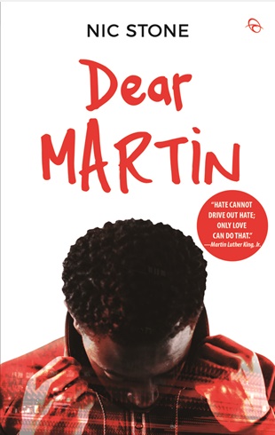 dear martin the book